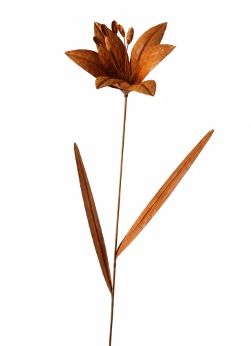 Kwiat dekoracyjny rdzawy 110cm