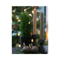 Untitled design (7).png